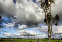 无意间发现了一个宝藏，就是那些天涯神贴pdf，翻开一看，就像打开了新世界的大门。