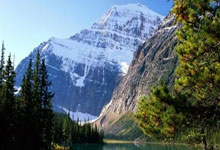 教你如何登录天涯论坛：简单教程